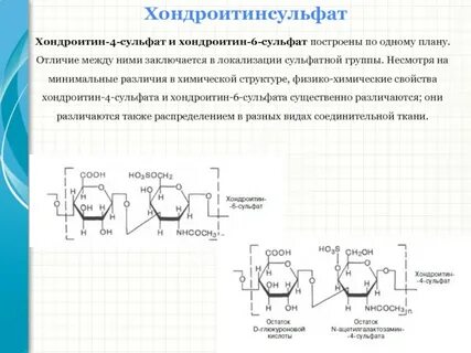 Хондроитин сульфат биологическая роль