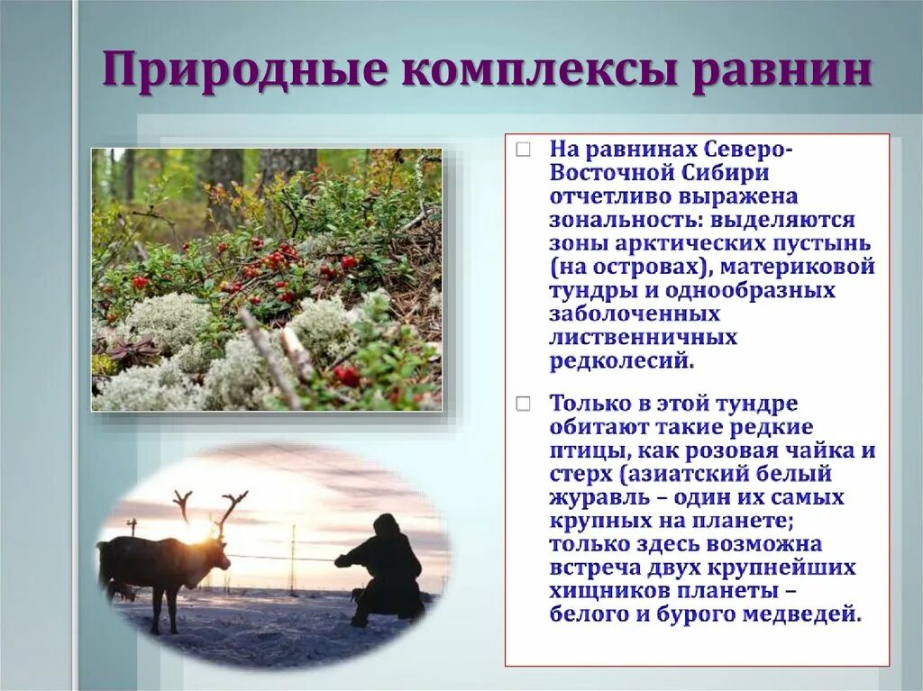 Как природный комплекс используется в хозяйственной деятельности. Природные комплексы. Природный комплекс презентация. Природные комплексы России презентация. Презентация на тему природные комплексы.