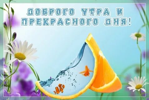 Ну и жара доброе утро