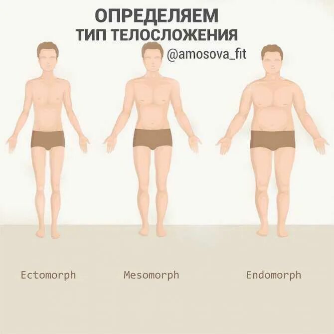 Типы мужских фигур. Плотное Телосложение. Человек плотного телосложения. Эктоморфное Телосложение. Почему тело мягкое