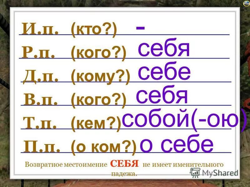 Собой начальная форма. Начальная форма местоимения. Формы местоимения себя. Начальная форма местоимения себе. Местоимение себя.