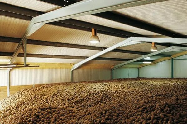 Овощехранилище картофелехранилище. Подземное овощехранилище 500 тонн. Овощехранилище полуподземное. Картофелехранилище 1000т. Стационарные хранилища