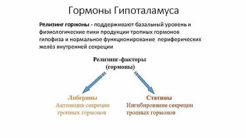 Рилизинг факторы