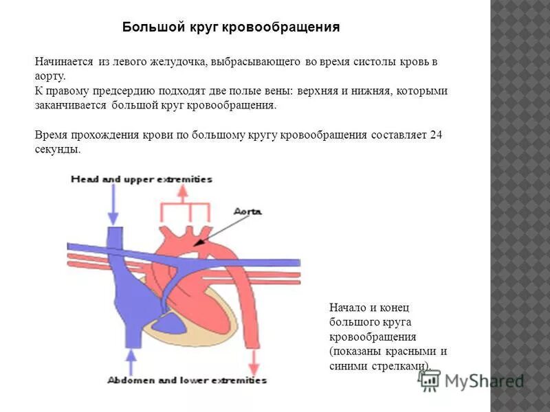 Конец большого круга