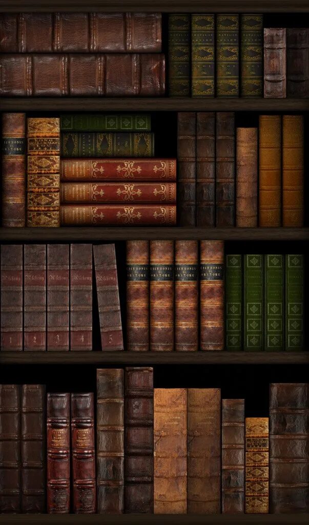 На книжной полке стоят книги