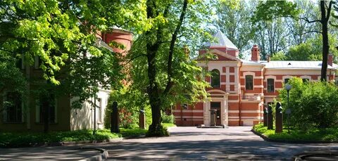 Институт практической медицины