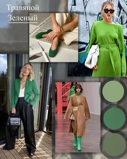 Самые модные цвета сезона весна-лето 2023 года Роскошные в 50+ Дзен