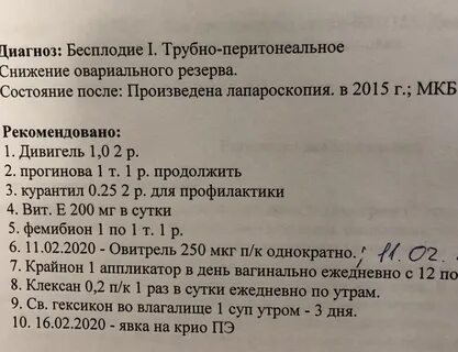 Перенос в криопротоколе отзывы