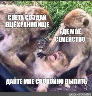 Спокойно выпивать