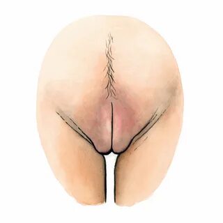 Vulva galerie