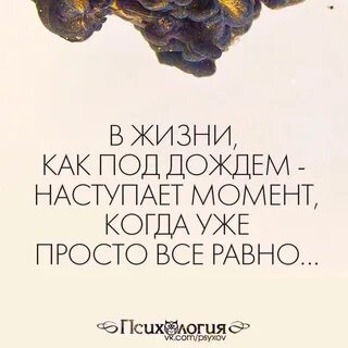В жизни как под дождем наступает