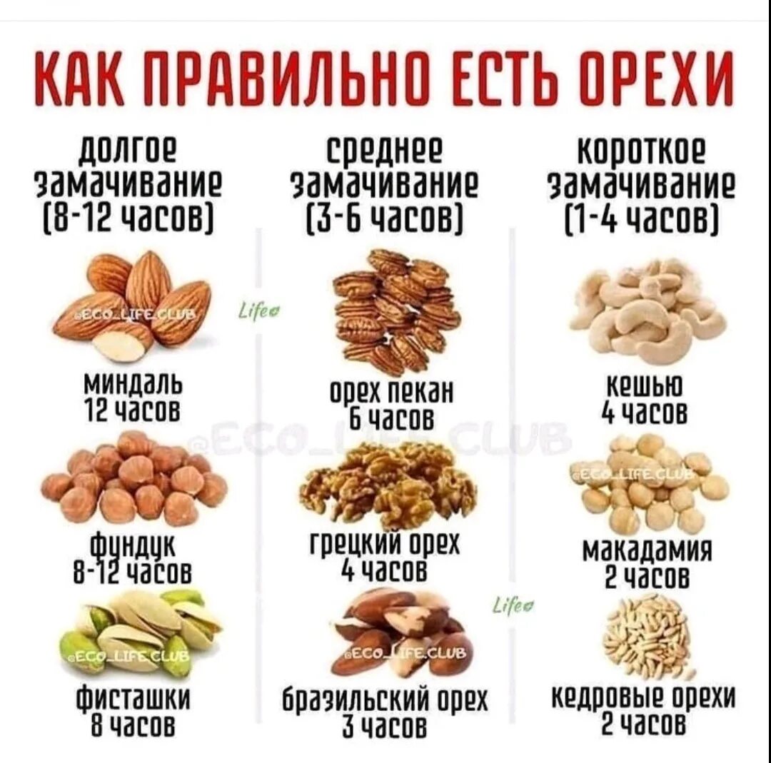 Орех сестры. Сколько раз можно есть орехи. Как правильно есть орехи. Сколько можно есть орехов в день. Сколько раз можно есть орехи.