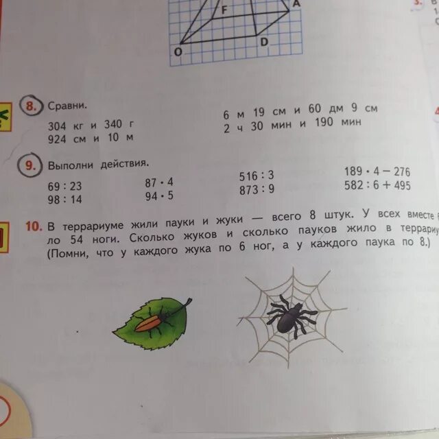 Сколько будет 54 8. В террариуме жили пауки и жуки. Задача по математике 4 класс в террариуме жили пауки и жуки. 304 Кг и 340 г Сравни. В террариуме жили пауки и жуки всего 8 штук у всех вместе было 54.
