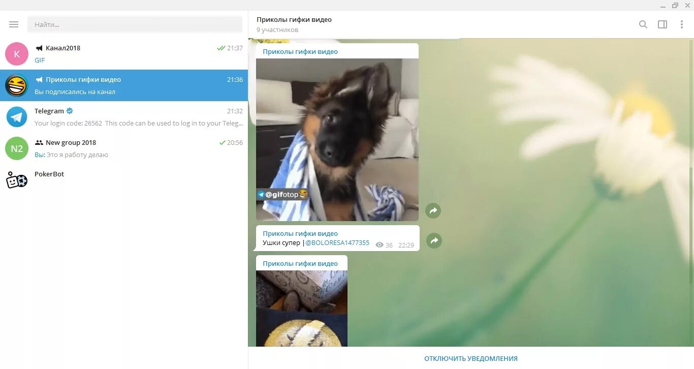 Телеграмм прикол. Смешные видео телеграмм. Видео приколы телеграмм канал. Гифки для телеграмма смешные.