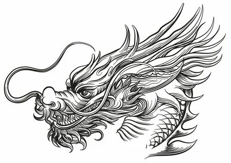 Dragon head tattoo Dragon Head Drawing, Dragon Head Tattoo, Dragon Tattoo D...