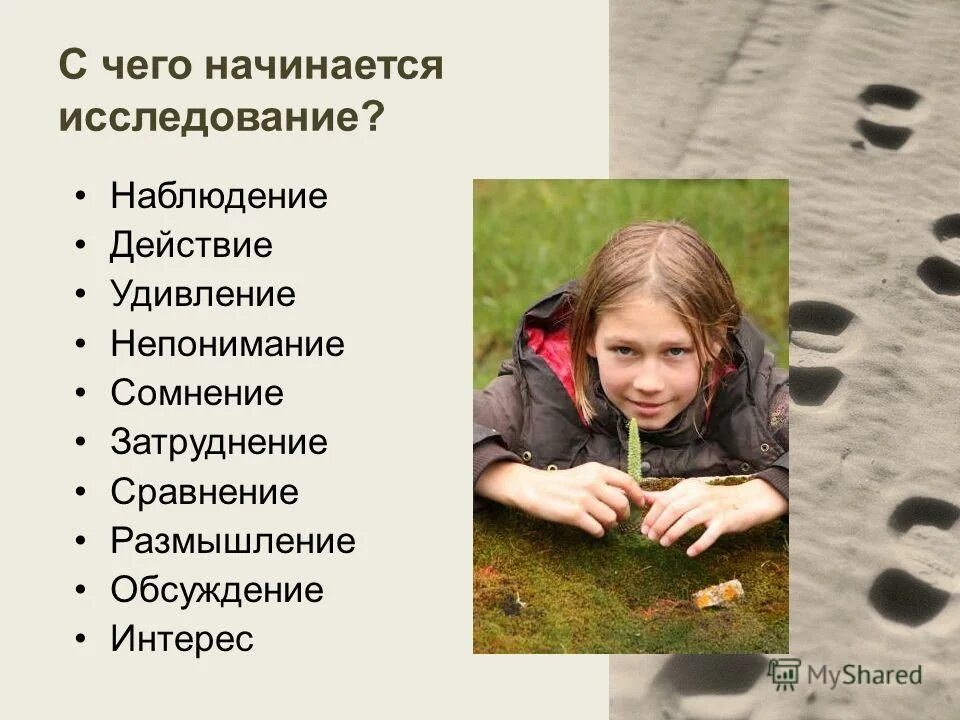 Размышление сравнение