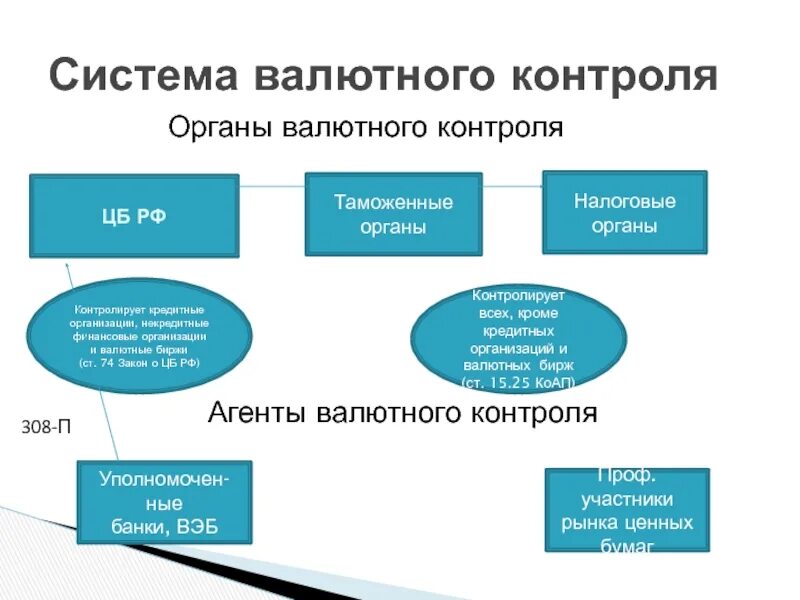 Валютный контроль правительство