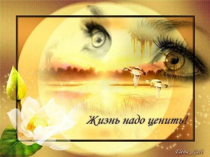 нужно ценить каждый. афоризмы жизненные ценности. цените жизнь цитаты. жизнь прекрасна стихи. нужно ценить каждый.