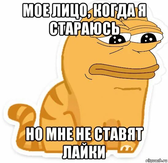 где лайки мем. надо лайкать. просьба поставьте лайки. цитаты про инициативу мужчины. мне не надо.