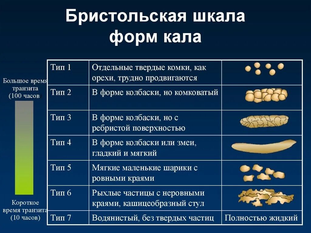 Бристольская шкала формы кала. 6 Тип кала по Бристольской шкале. Бристольская шкала кала Тип 1. Бристольская шкала стула норма. Стул колбаской