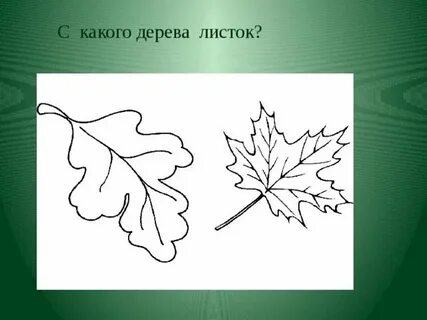 Листок какая ткань