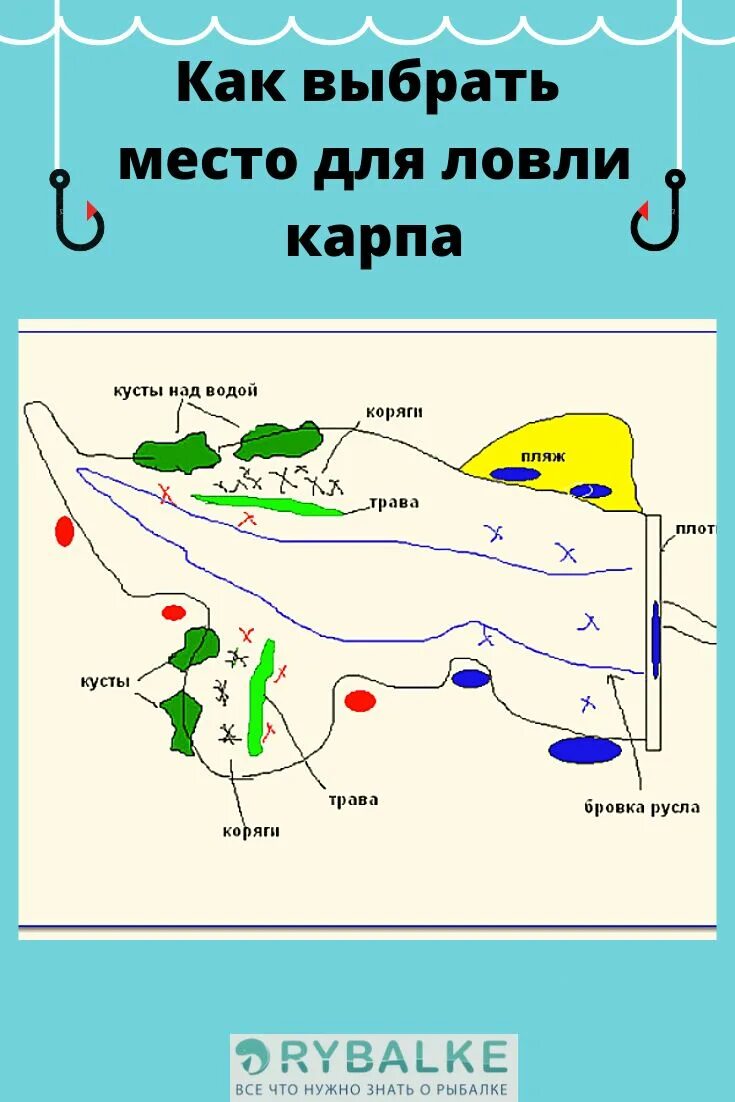 Найти точку лова. Перспективные места для ловли карпа. Выбор места ловли карпа. Перспективные места для ловли. Перспективные точки ловли карпа.