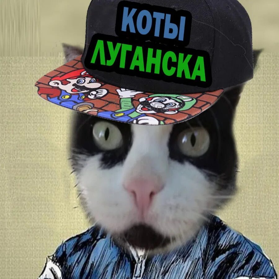 Тиммка кот луганск слепой. Коты луганска старые видео. Коты луганска старые видео. Луганские котики. Коты луганска старые видео.