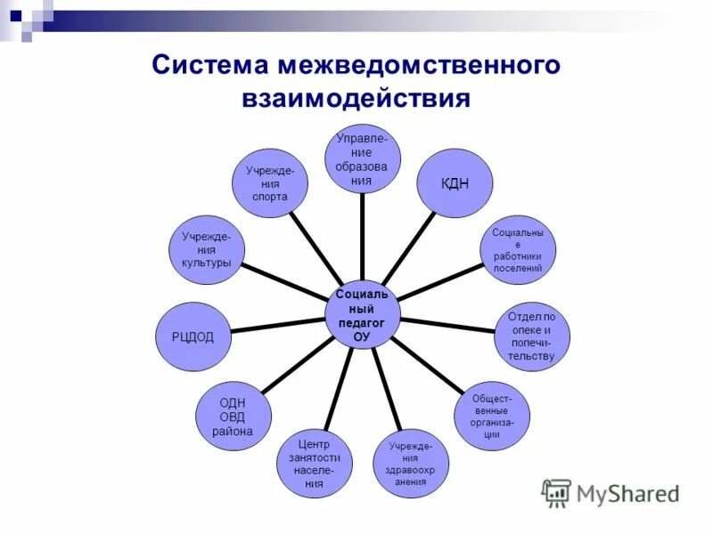 Социальный состав работников