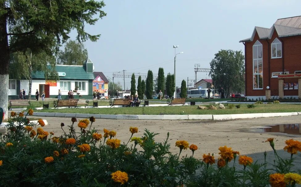 Село вторые тербуны липецкая область. Тербуны липецкая область. Село тербуны липецкой области. Липецкая область тербуны центр. Липецкая область тербунский район село вторые тербуны.