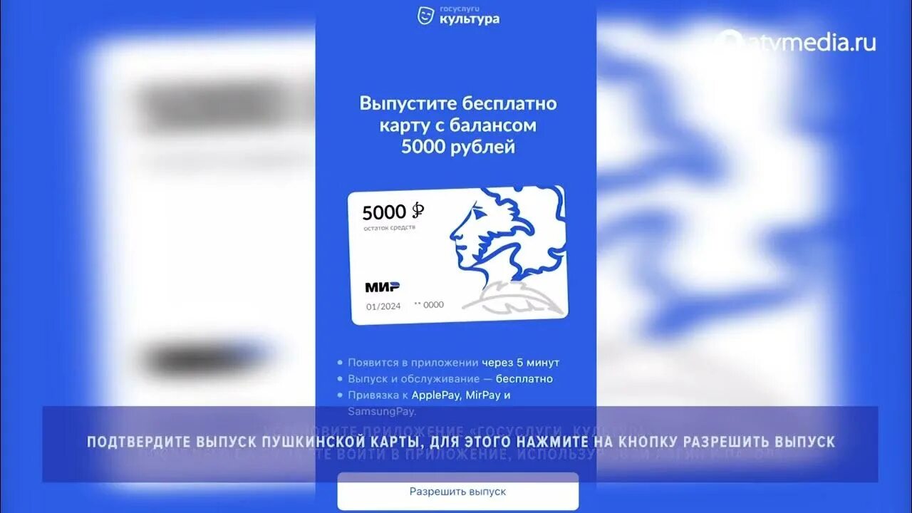 Как обналичить пушкинскую карту в 2025 году. Как выпустить пушкинскую карту. пушкинская карта инструкция. госуслуги пушкинская карта. как выпустить пушкинскую карту пластиковую.