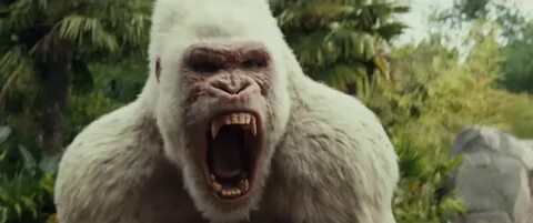 Rampage 2018
