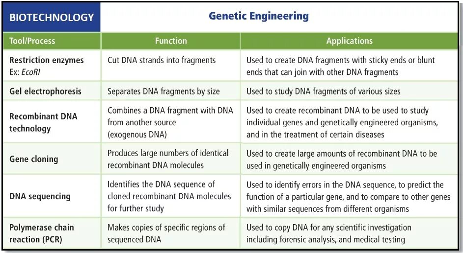 Local color. Specific regions. Specific regions. Genetic engineering and its application in medicine. Sp3d2 гибридизация.