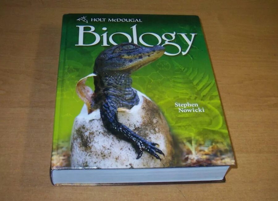 какие учебники в сша. учебник по истории сша. учебники эстетика америка. учебники по английскому языку в американских школах. учебник.