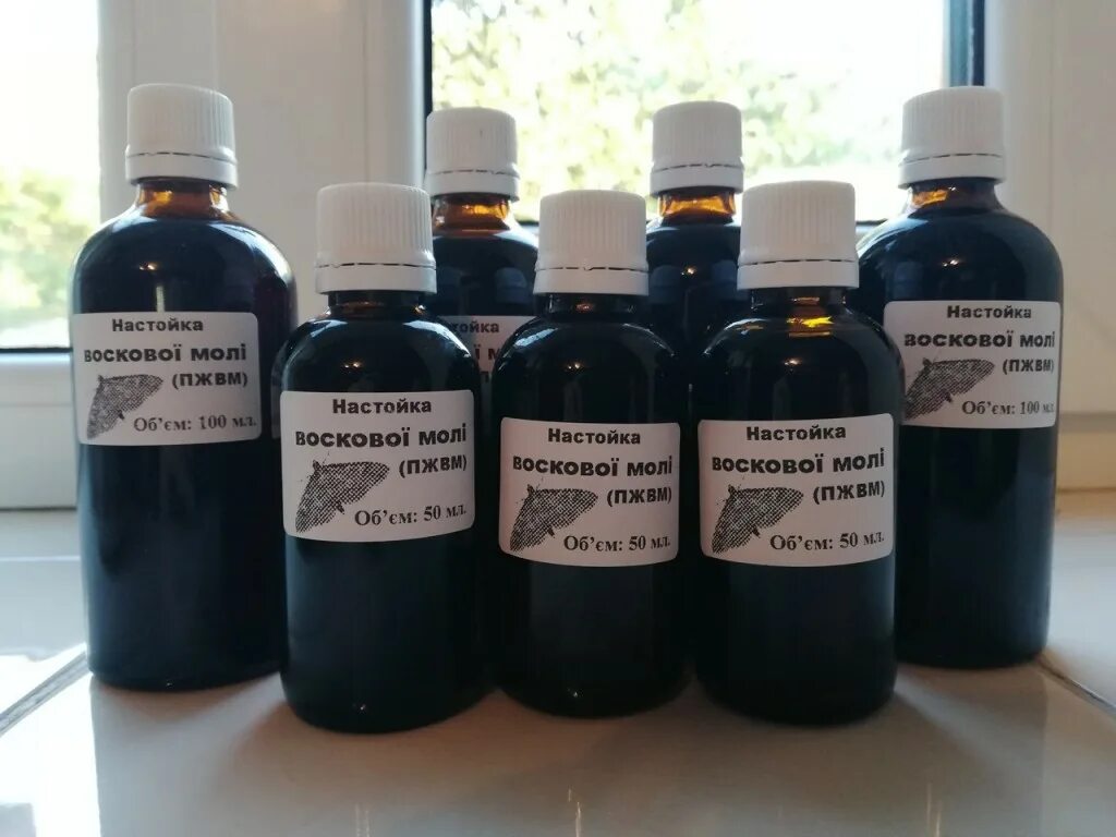 Пжвм восковой моли. Настойка пжвм. Экскременты восковой моли. Пжвм применение. Продукт жизнедеятельности восковой моли.