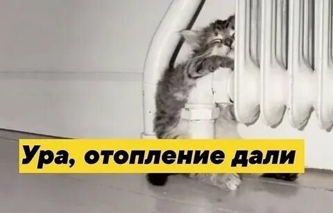 Ура отопление дали картинки