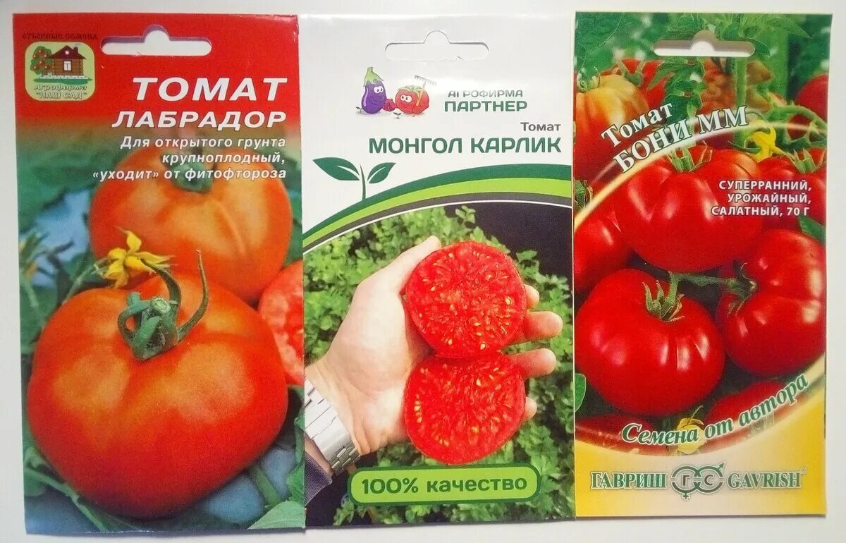 Семена томатов устойчивых к фитофторозу для теплиц. Сорта томатов устойчивые к фитофторе. Томаты устойчивые к вершинной гнили сорта. Ультраранние томаты для открытого грунта.