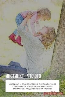 Инстинкт это в обществознании 6 класс
