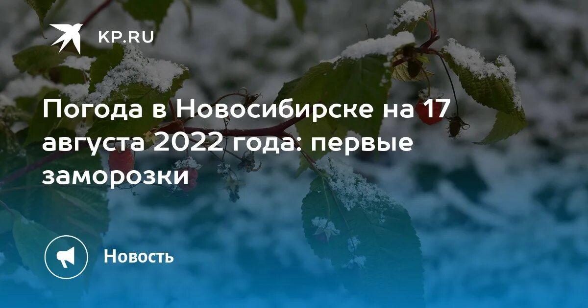 Гидрометцентр Новосибирск. Погода в Новосибирске. Климат Новосибирск 2022. Погода на август 2022 в Новосибирске.