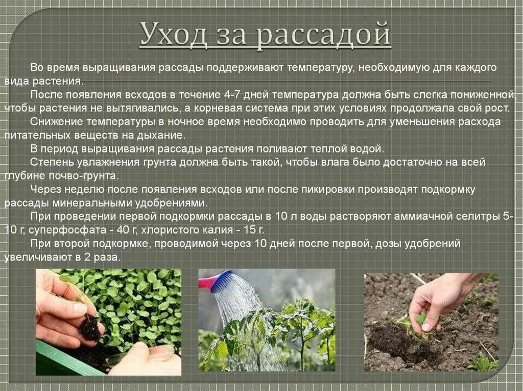 Какое практическое значение имеет процедура для овощевода