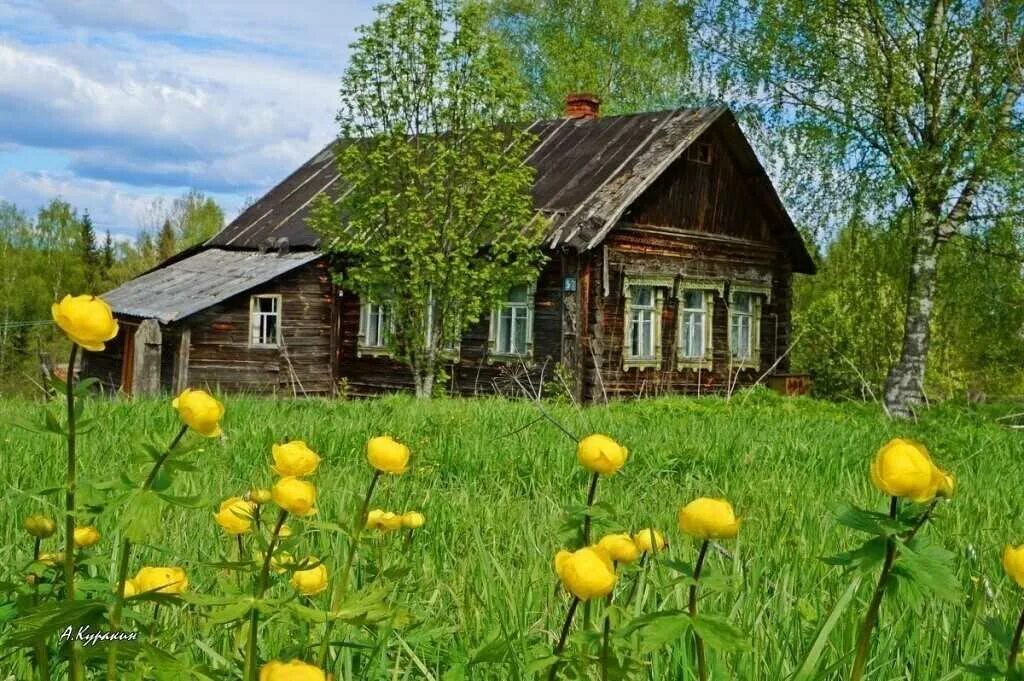 Родительский дом. Родной дом в деревне. Отчий дом стихи. Стихи про дом родной. Стихотворение деревни русские