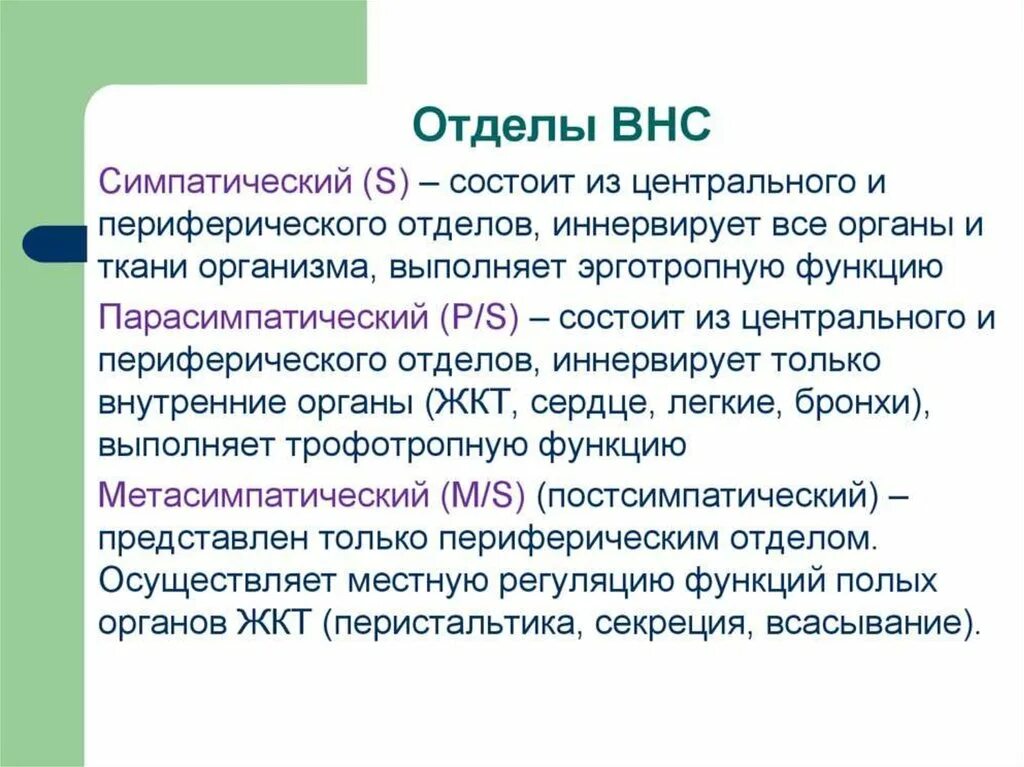 Периферический отдел симпатической. Отделы ВНС. Отделы вегетативной нервной системы. Периферический отдел симпатической вегетативной нервной системы. Автономный отдел нервной системы.