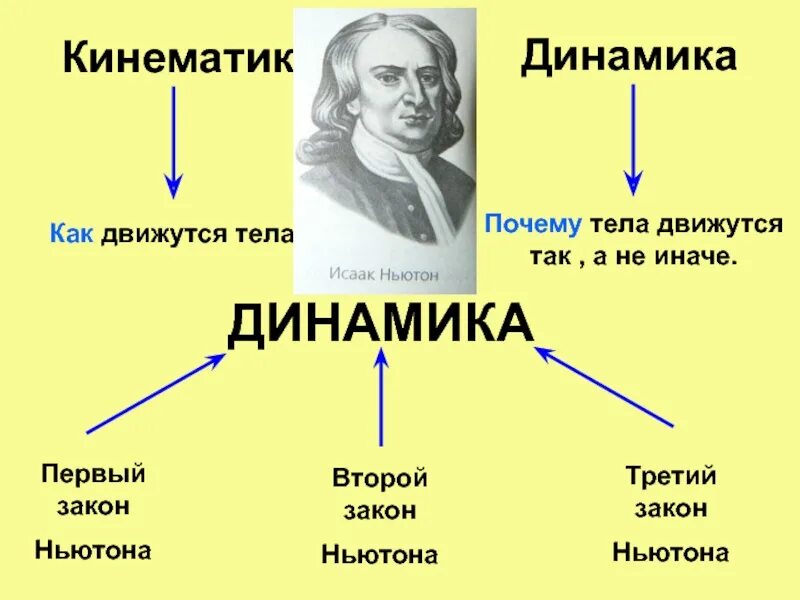 Динамика физика. Динамика физика ученые. Динамика это в физике. Разделы динамики в физике.