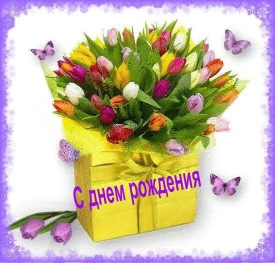 открытка с днем рождения альфие