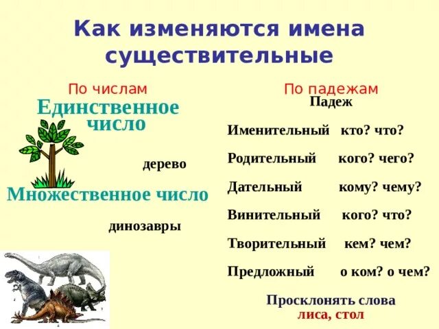 Почему изменяется существительное