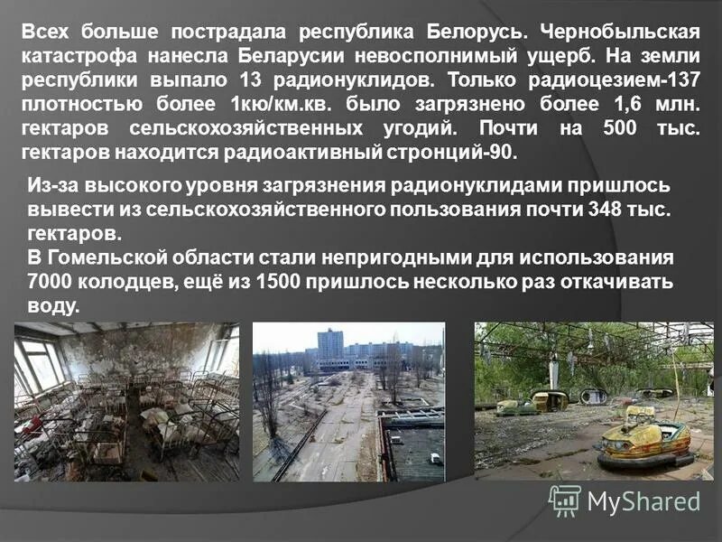 Рыжий лес чернобыль мутанты. Чернобыльская катастрофа экологические последствия. Припять чаэс 1986. Чернобыль катастрофа. Чернобыль аэс рыжий лес.