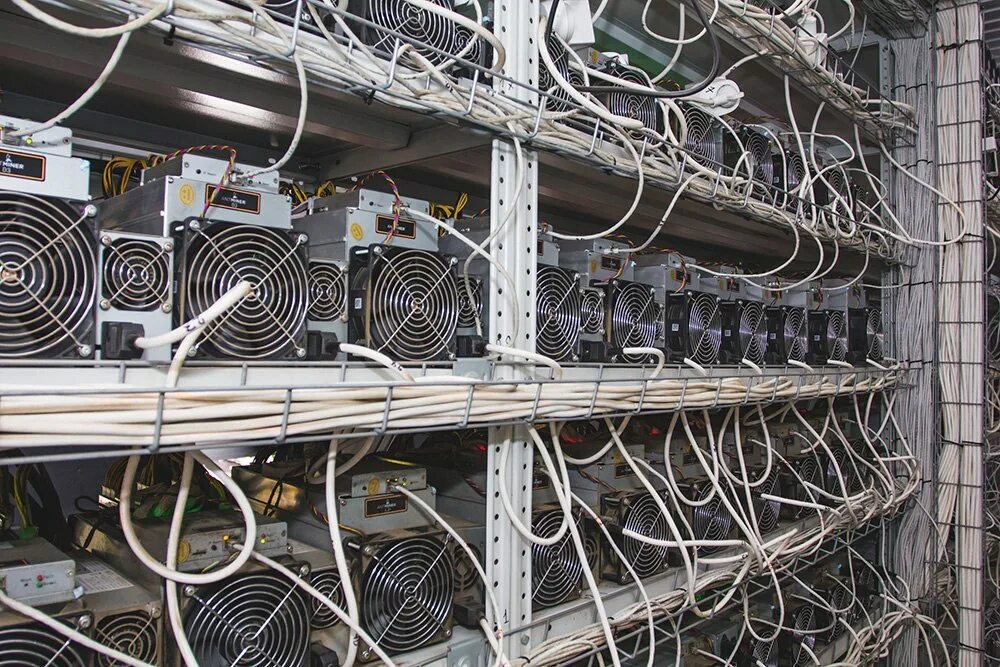 Asic miner ферма для майнинга. Современная майнинг ферма. Майнеры закрываются. Майнеры закрываются. Майнеры закрываются.