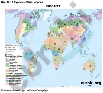 География 6 класс контурные карты биосфера