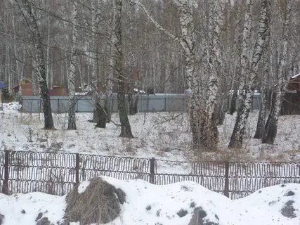 Подслушано кольцово