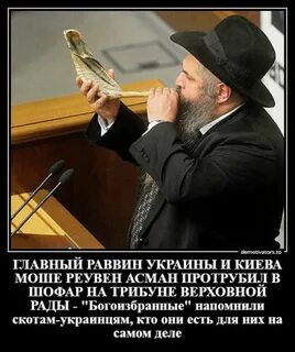 Политик еврей