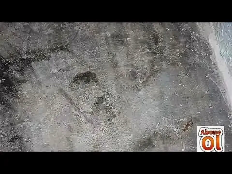 Ни бельмеса значение. Ни бельмеса значение